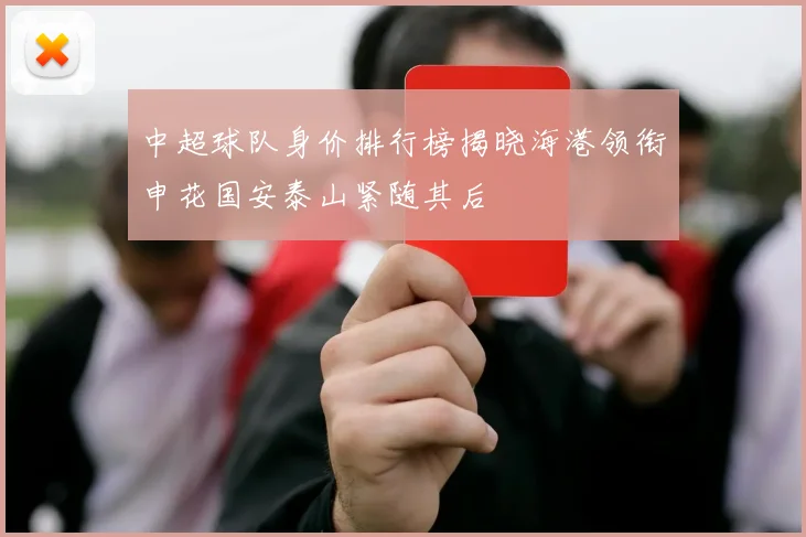 中超球队身价排行榜揭晓海港领衔申花国安泰山紧随其后