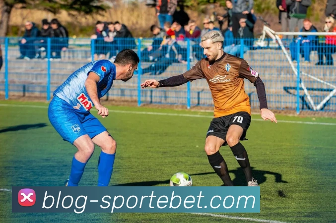 易倍体育平台生态图