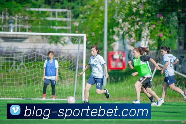 易倍体育全站App